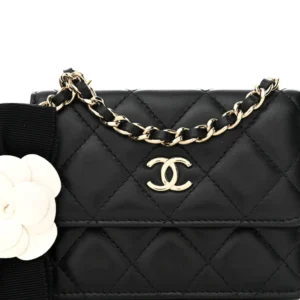 Chanel Quilted Lambskin My Chanel Lady Card Holder On Chain Black detail2