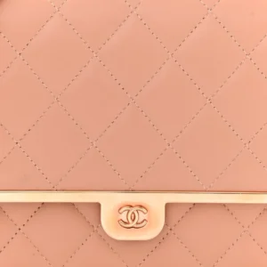 Chanel Quilted Metal Lambskin Wallet On Chain (WOC) Beige detail2