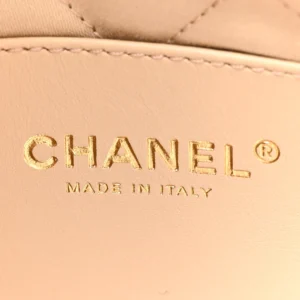 Chanel Quilted Shiny Calfskin Mini Chanel 22 White logo